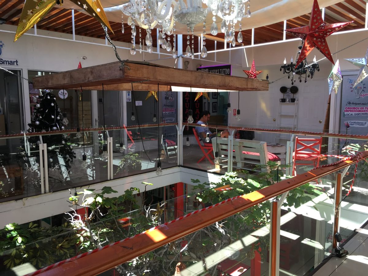 Imagen 3
